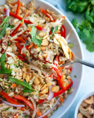 Portrait - blog - Rainbow Thai Coleslaw