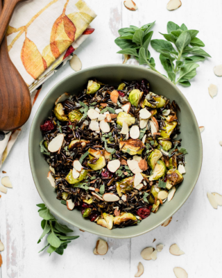 Portrait - blog - Wild Rice, Brussels Sprout and Cranberry Salad