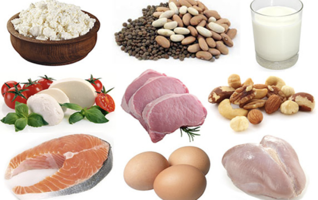 graphic of different high protein foods