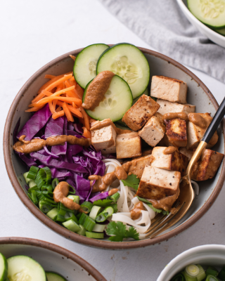 Portrait - Tofu Spring Roll Bowl